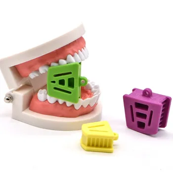 3шт Отварачка за зъби, Отварачка за Окклюзионных тампони, Ретрактор, Зъболекарски Инструмент, Стълбовете за зъби, Гума Ретрактор за привеждане в съответствие хапят, Латекс Стоматологични Инструменти