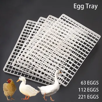 Автоматично птичи Инкубатор за кокошка, пъдпъдък, Гъски, гълъби, Мини-инкубатор за яйца, Инструмент за превръщането на яйца, Тава за яйца