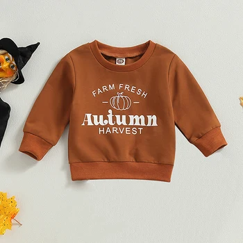 Детска hoody на Хелоуин, пуловери с дълги ръкави и писмото принтом под формата на тиква, есенни блузи за деца, мила есен облекло