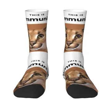 Чорапи с модерен принтом Communism Floppa, сладки чорапи меми за жени и мъже, еластични чорапи с каракалевым котка на лятото, есента и зимата